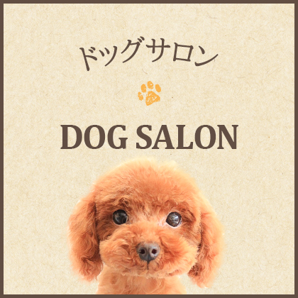 dogsalon_half_banner